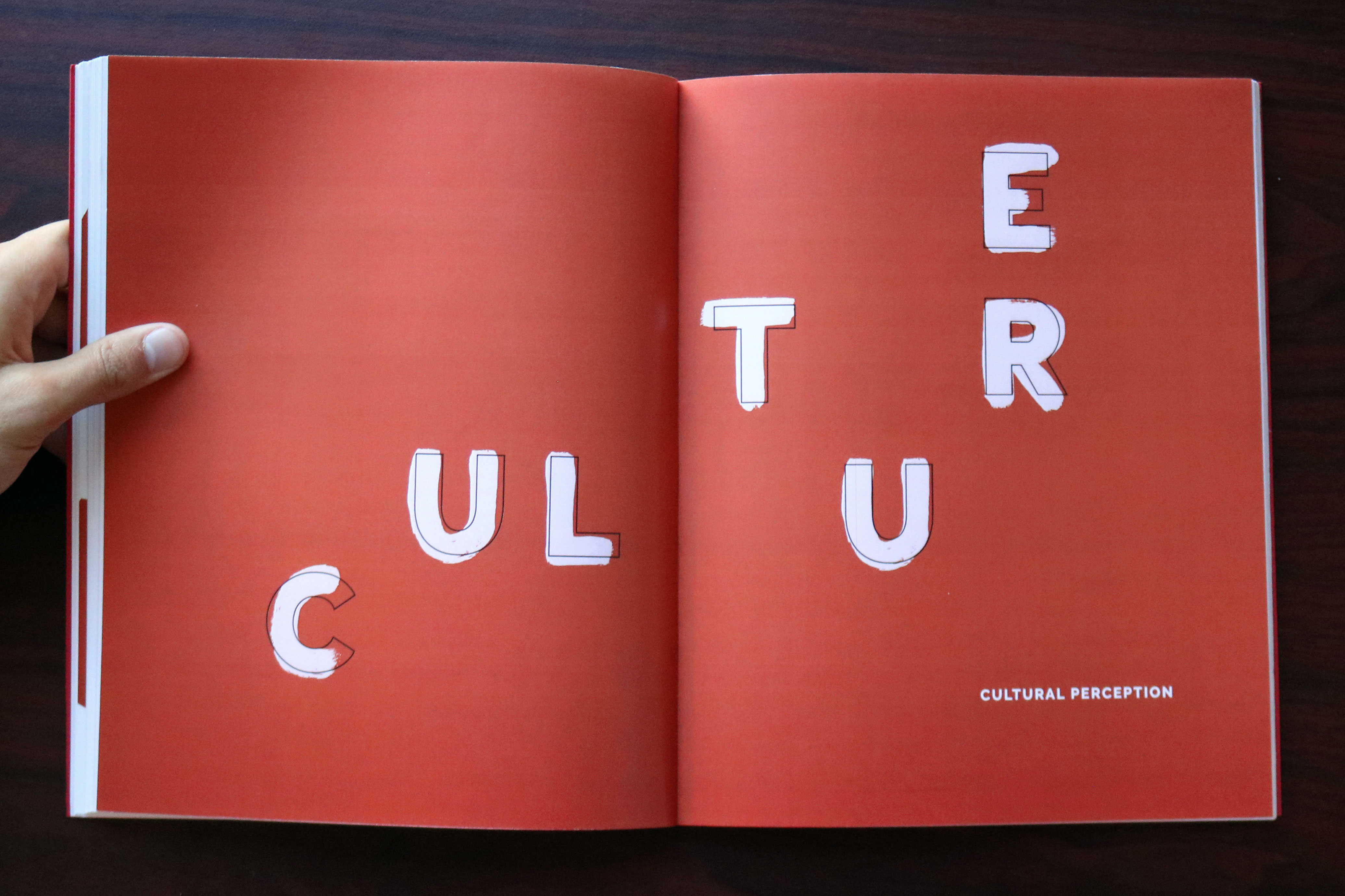 Cultural Perceptions of Anger