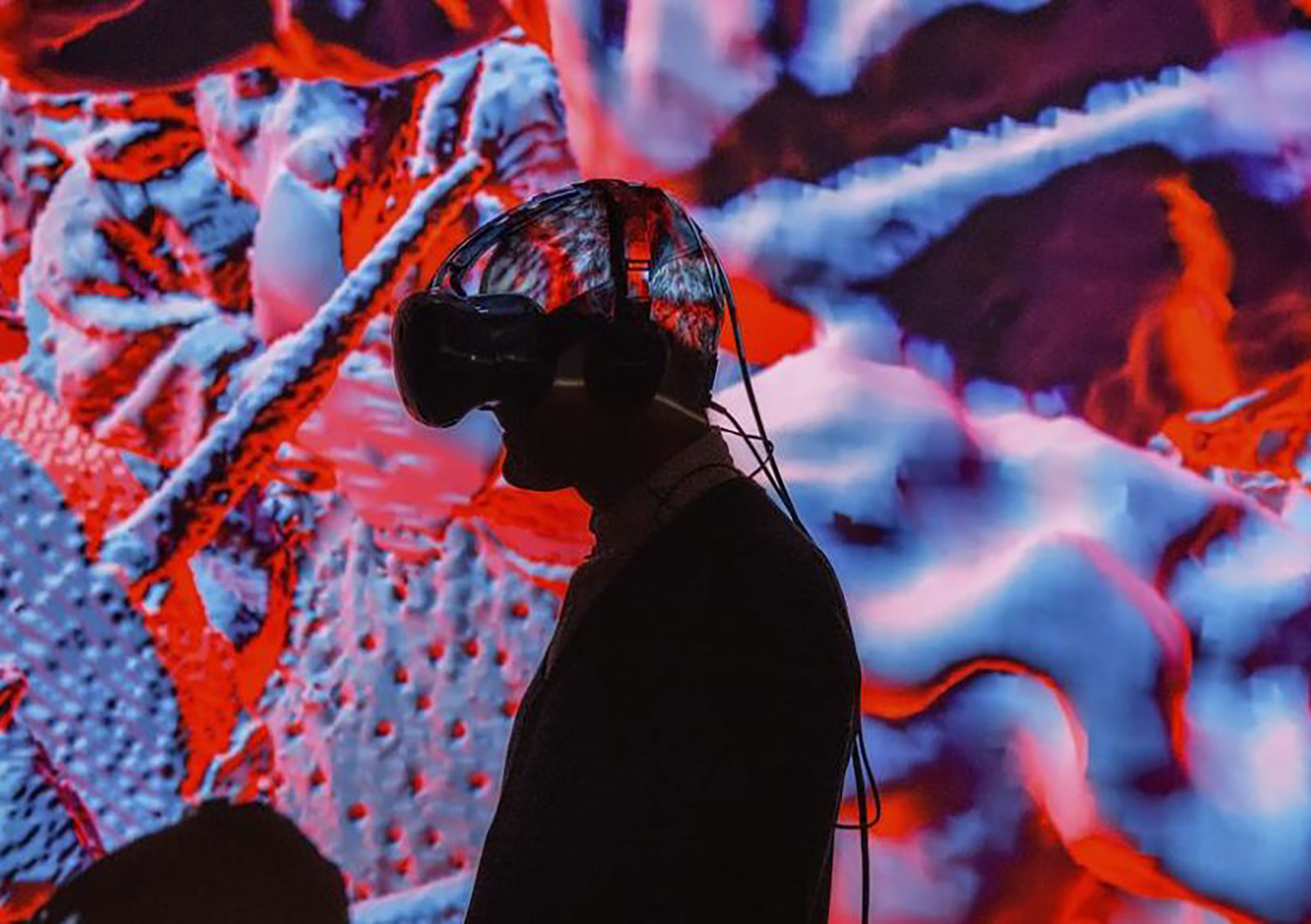 Small Wonders VR Exhibit